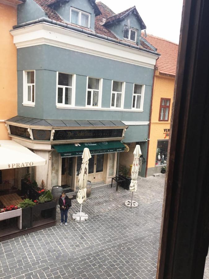 Aristocrat Vintage Apartment Braşov Esterno foto